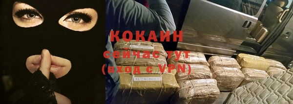 apvp Вяземский