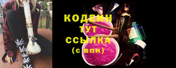 apvp Вяземский