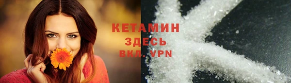 apvp Вяземский