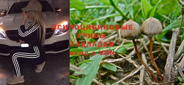 дурь Вязьма