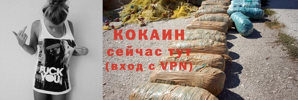 apvp Вяземский