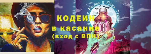 apvp Вяземский