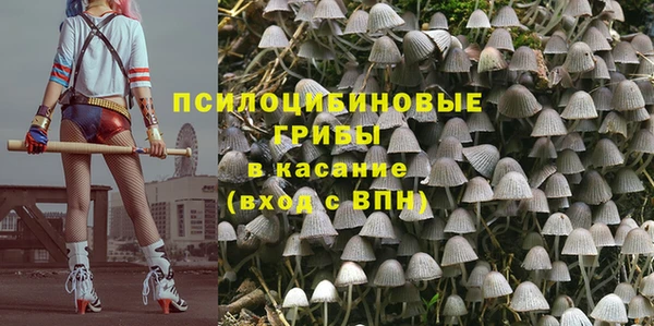 дурь Вязьма