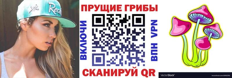 мега вход  Елизаветинская  Псилоцибиновые грибы ЛСД  это официальный сайт  закладки 